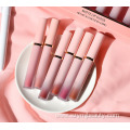 6 Colors Pink Lipstick Gold Liquid Lipstick set
